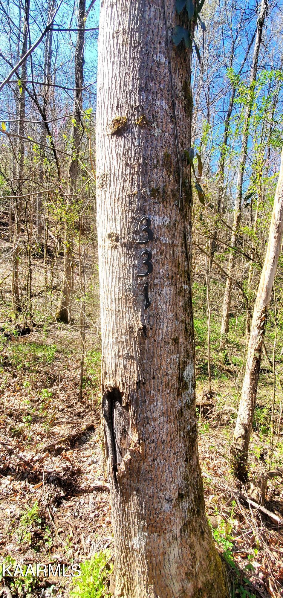 Image 3: 3 Address Tree
