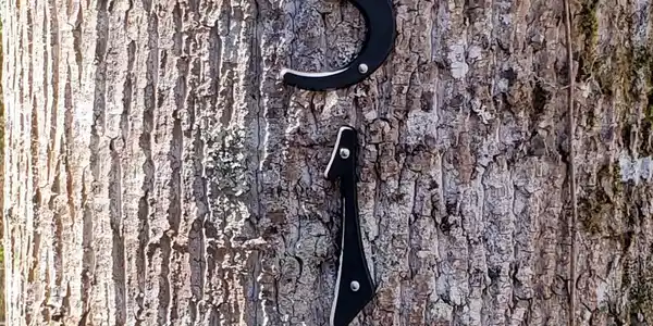 Image 4: 4 Address Tree 2