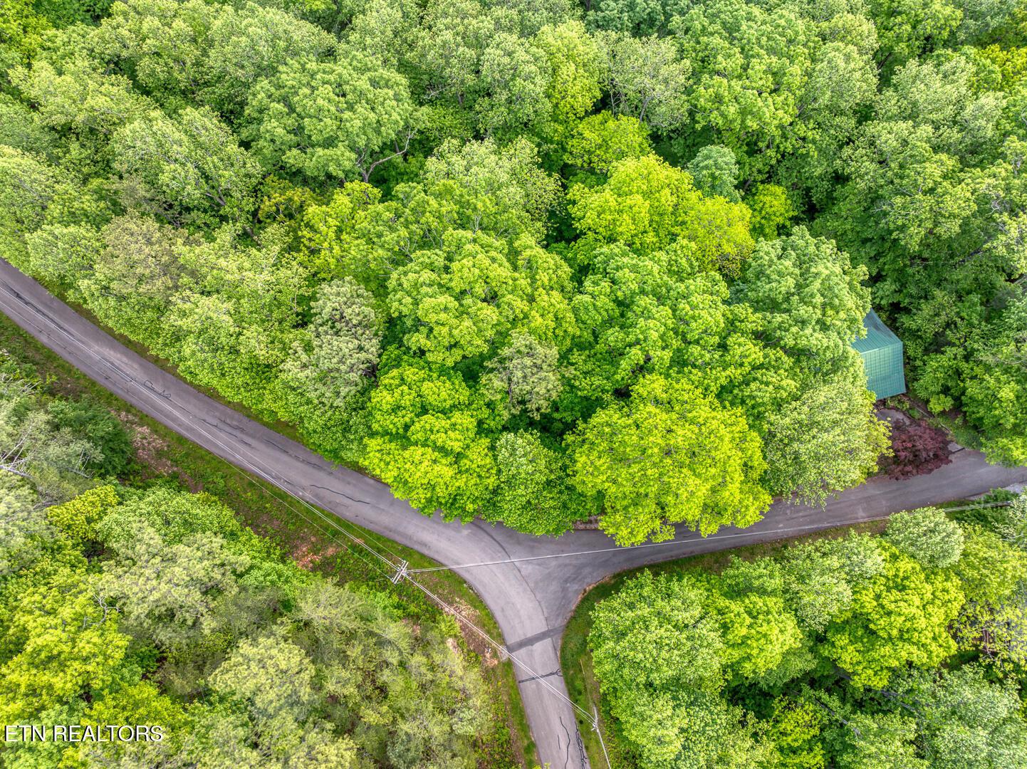 Image 3: DJI_0704