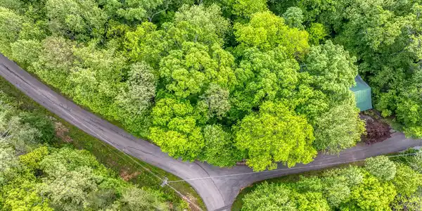 Image 3: DJI_0704