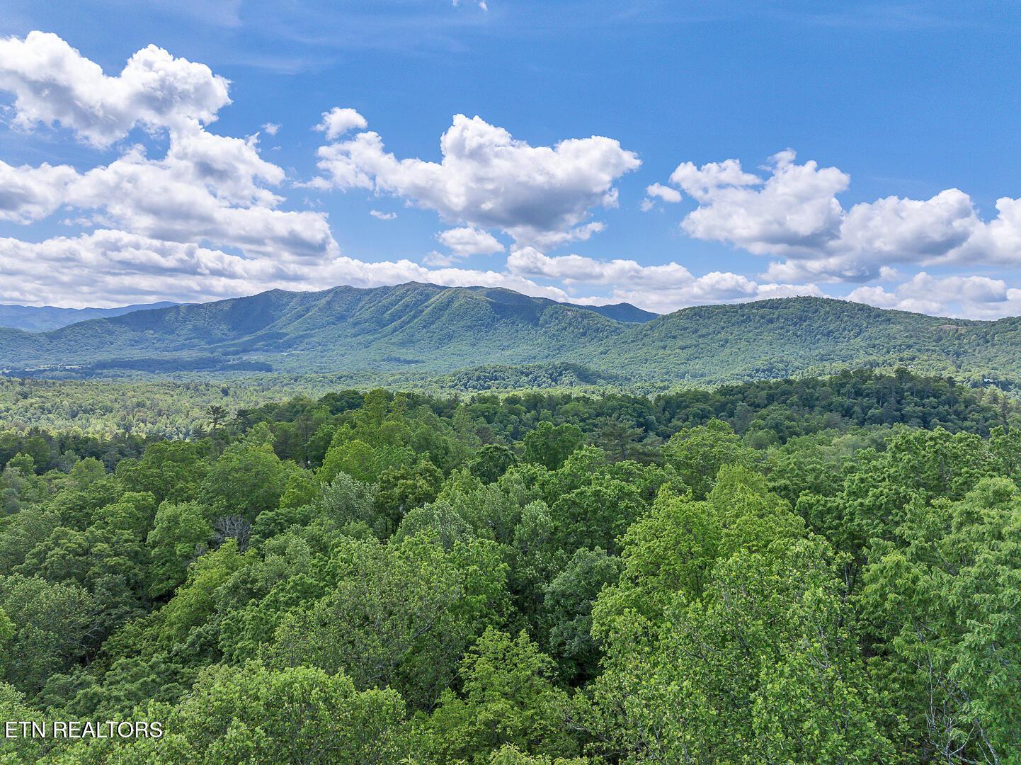 Image 4: DJI_0708