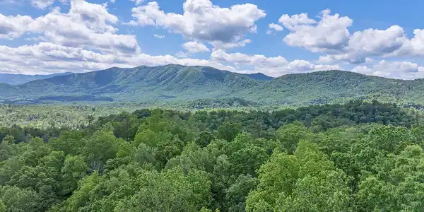 Image 4: DJI_0708