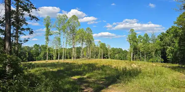 50+/- AC Red Hill Rd