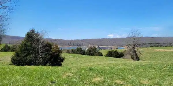 Image 2: 3