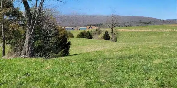 Image 4: 2