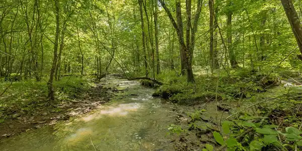 Image 4: 6-1859 Nydeck Trail lot 4 - 006