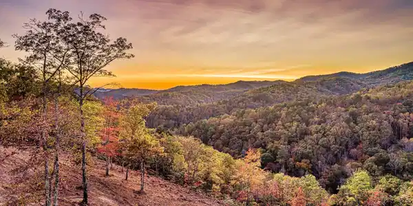 Lot 172 Smoky Bluff Tr