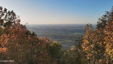 Chilhowee Tr
