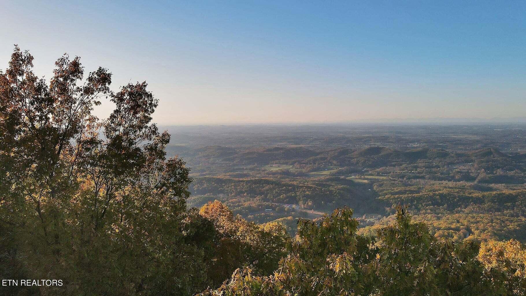 Image 4: 4