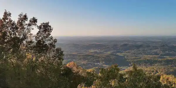 Image 4: 4