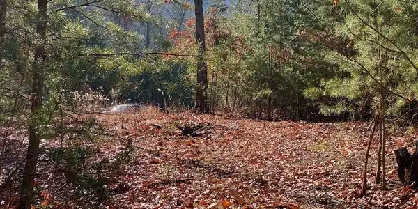 Lot English Springs Way