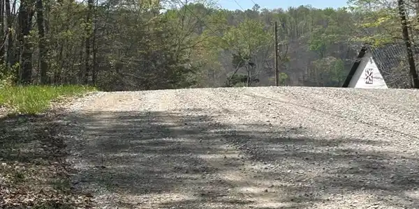 Image 4: IMG_1686 lot 9