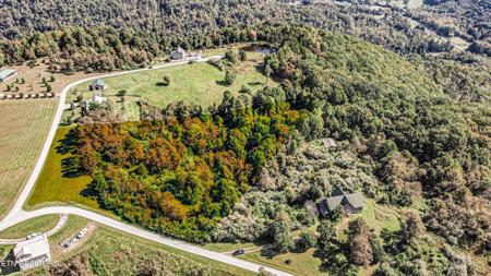 Lot 82 Grouse Lane