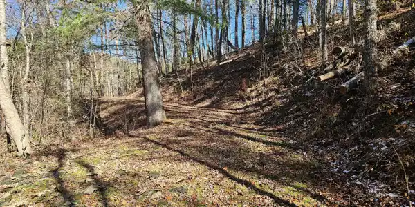 Image 2: Fall pic 1