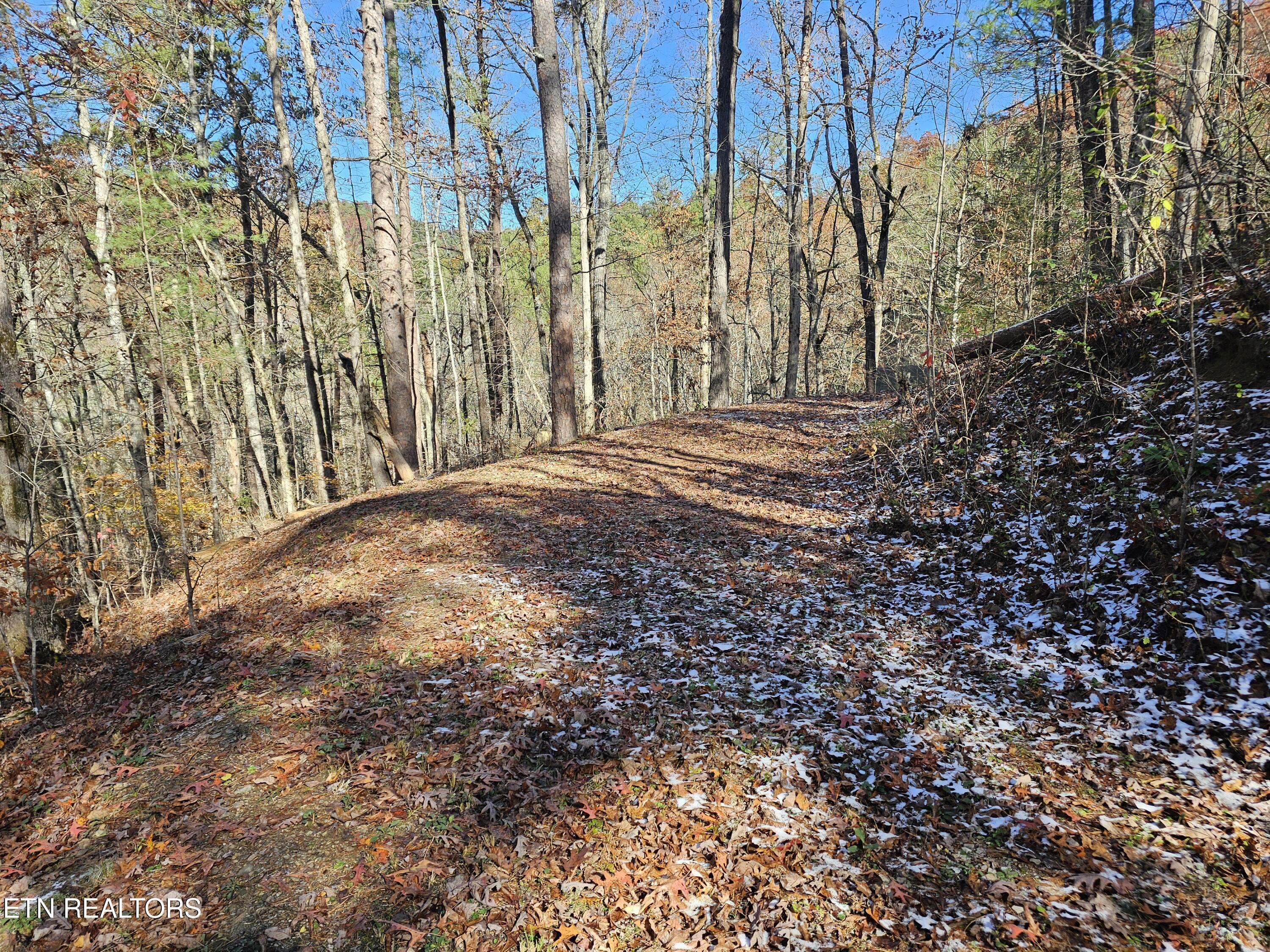 Image 3: Fall pic 2
