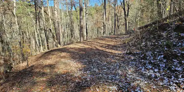 Image 3: Fall pic 2
