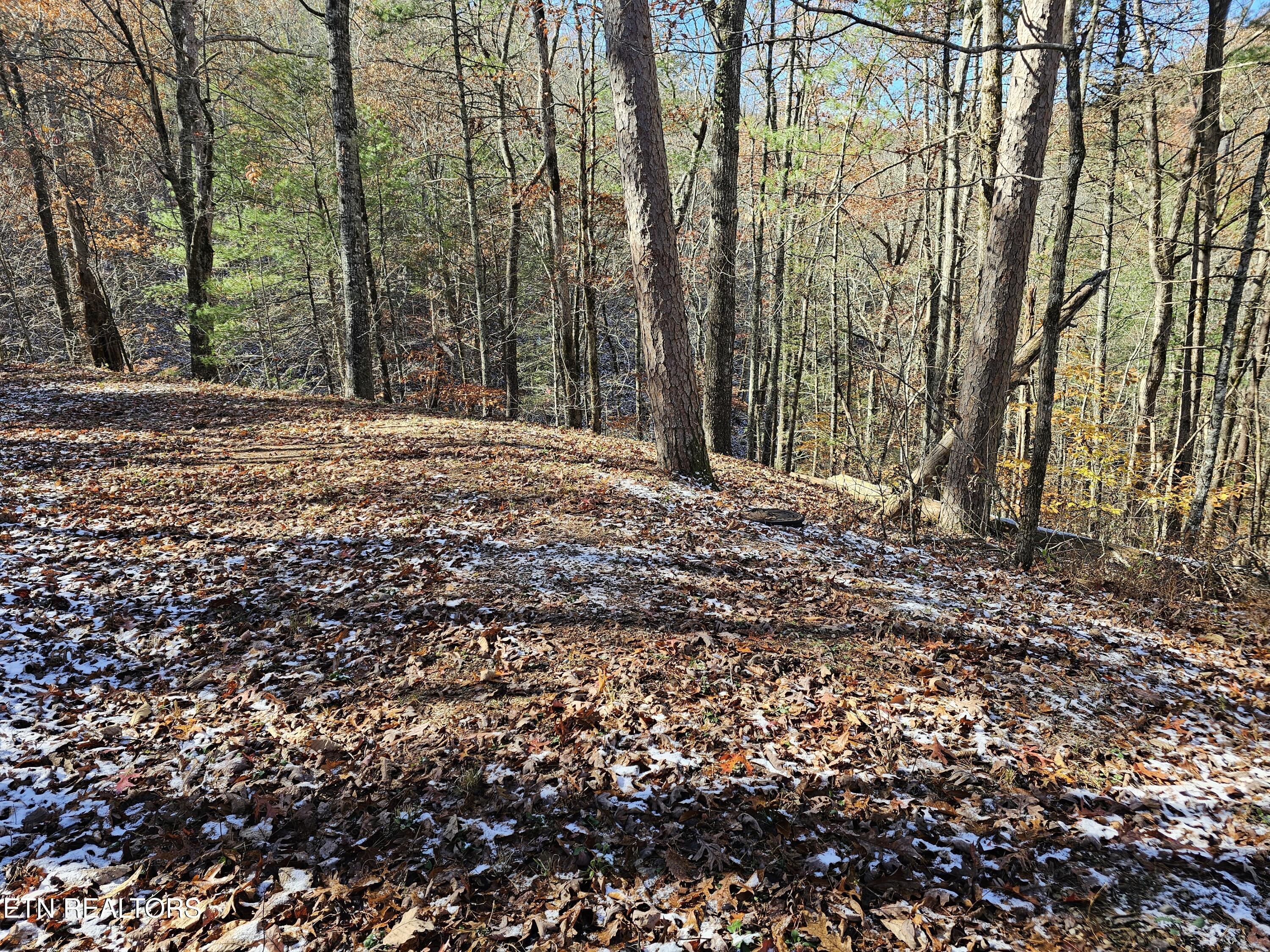 Image 4: Fall pic 3