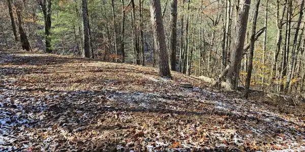 Image 4: Fall pic 3