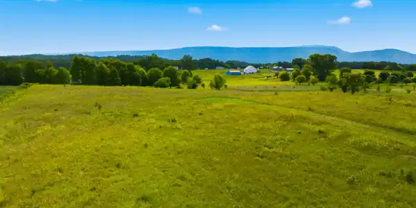 417 County Road 788
