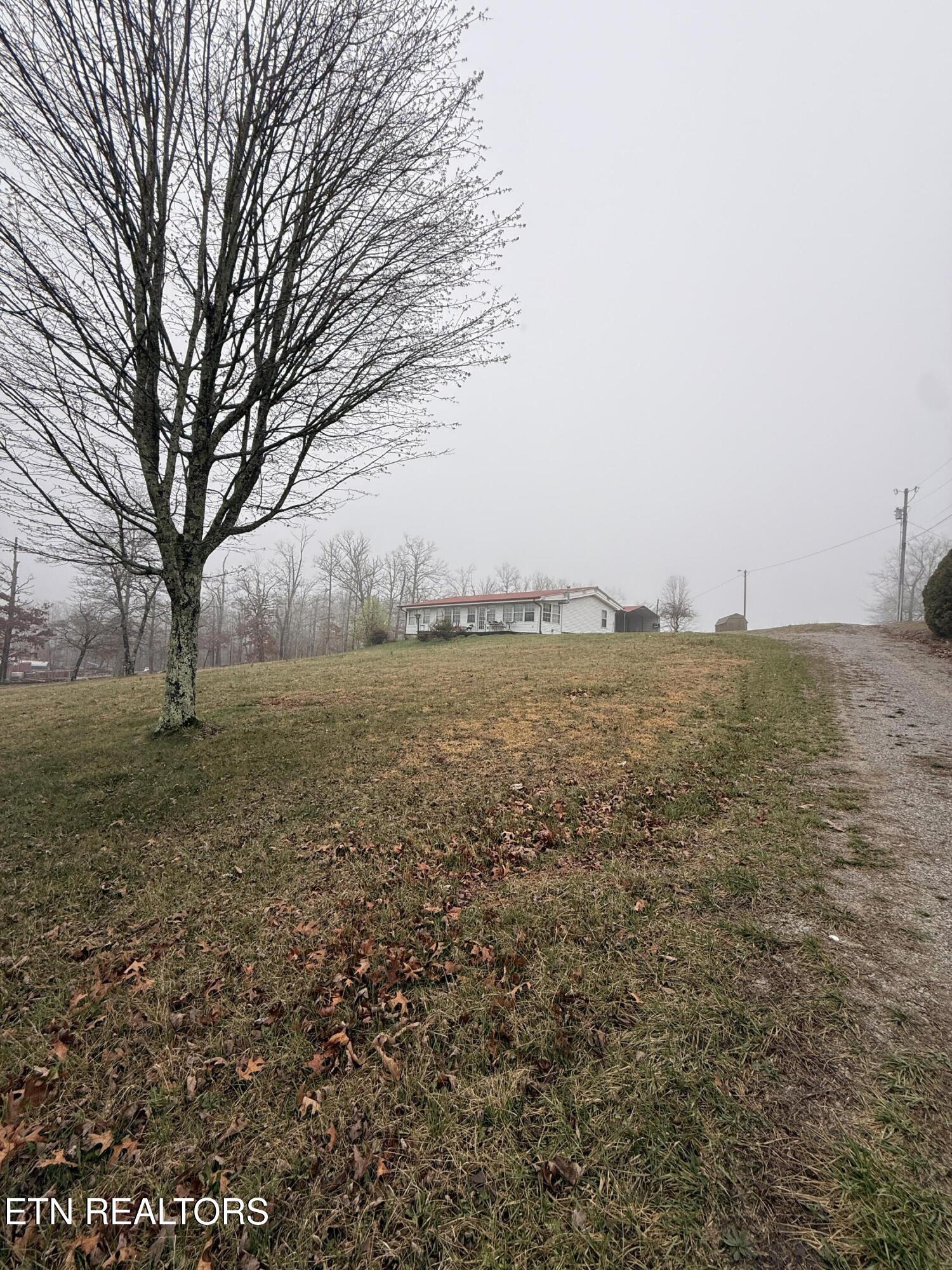 Image 2: IMG_1845