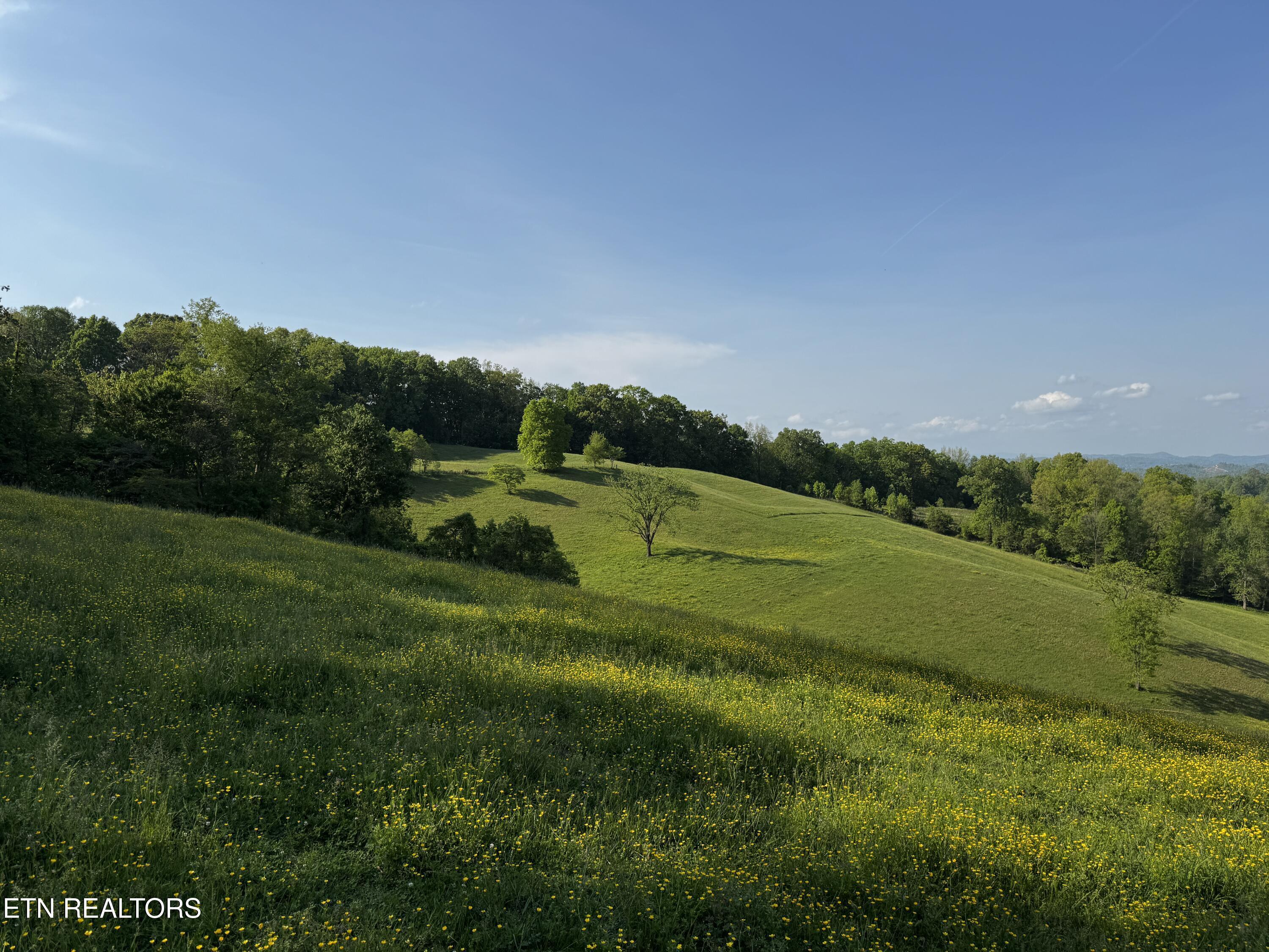 Image 1: _Main Pic IMG_1106