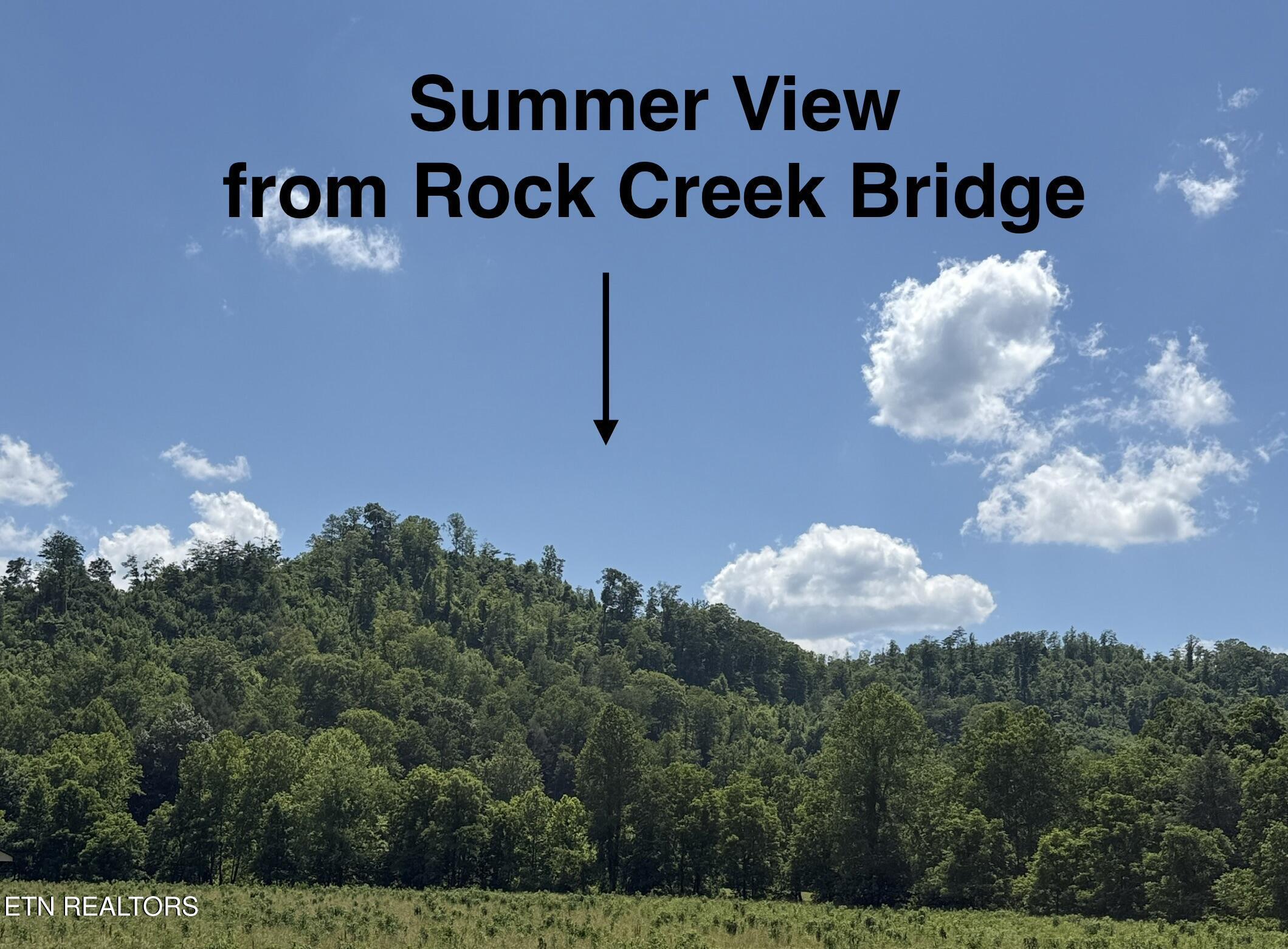 Image 1: Summer View