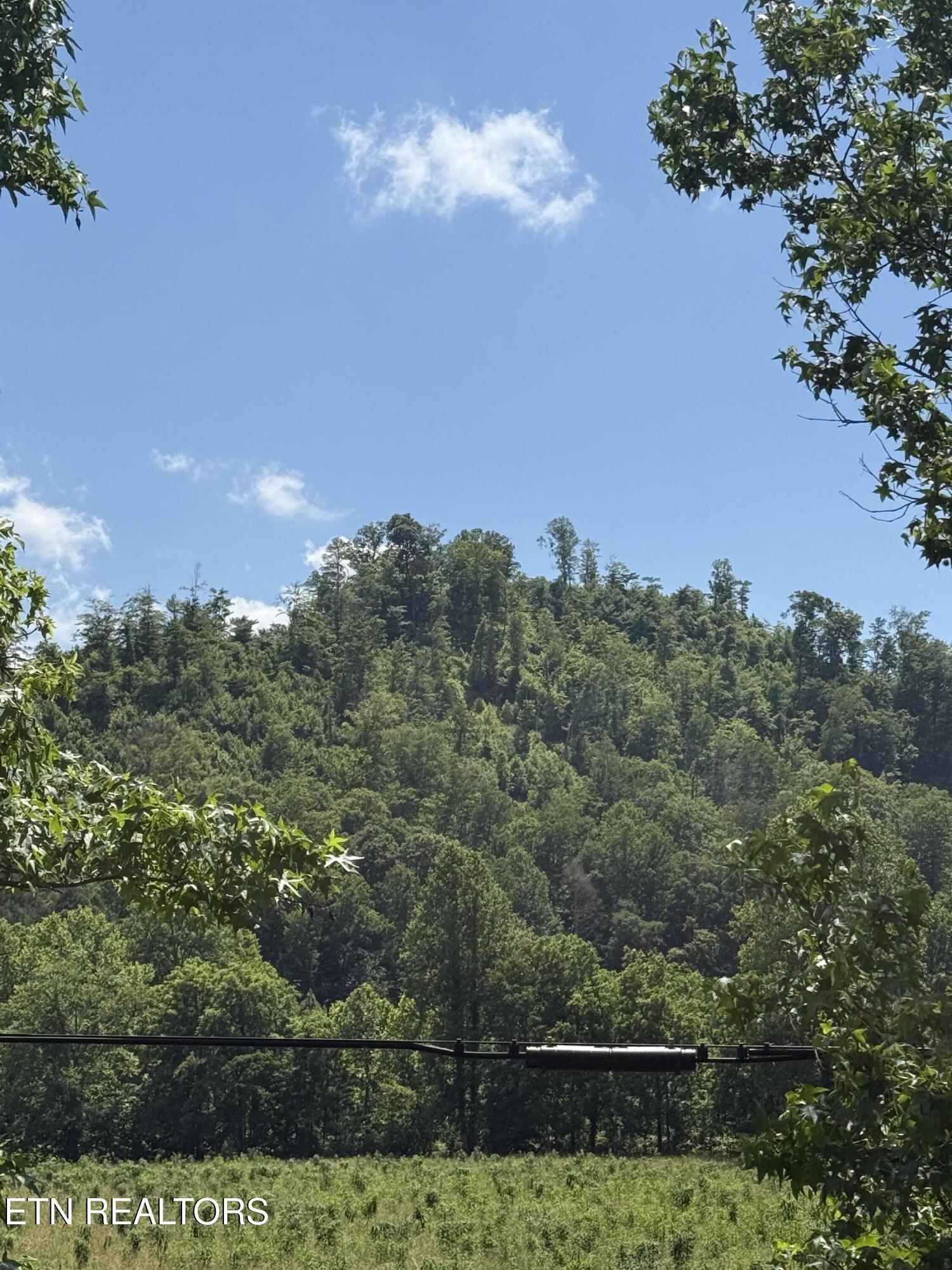 Image 2: Summer View
