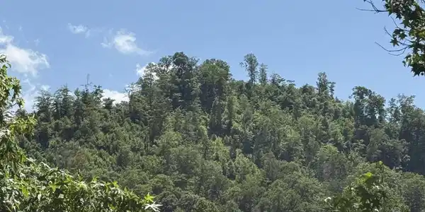 Image 2: Summer View