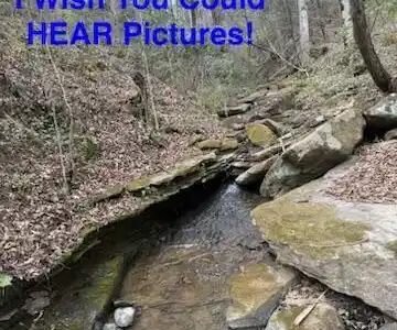 Image 3: Hickory Creek Ln