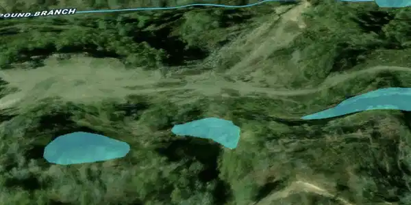 Image 4: Pond Highlights