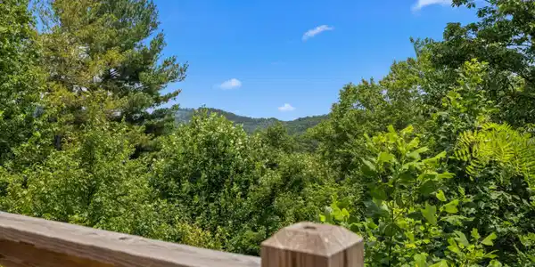 Image 2: 042-4160ChamberlainLane-Sevierville-TN-3