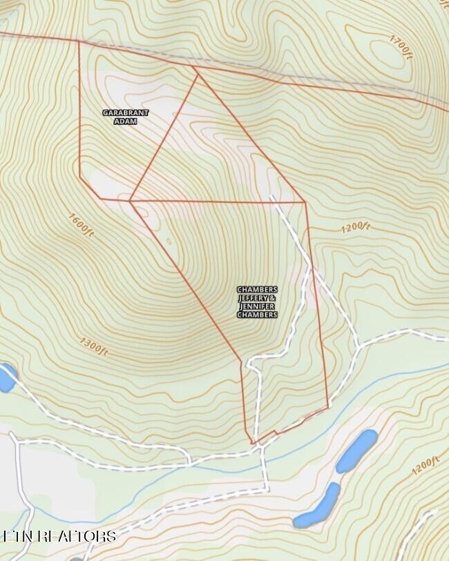 Image 3: TOPO - Winfield Property