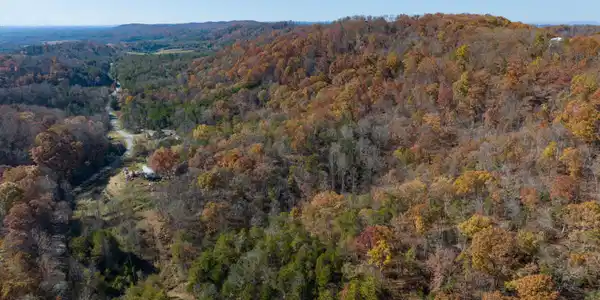 310 Tom White Hollow Rd