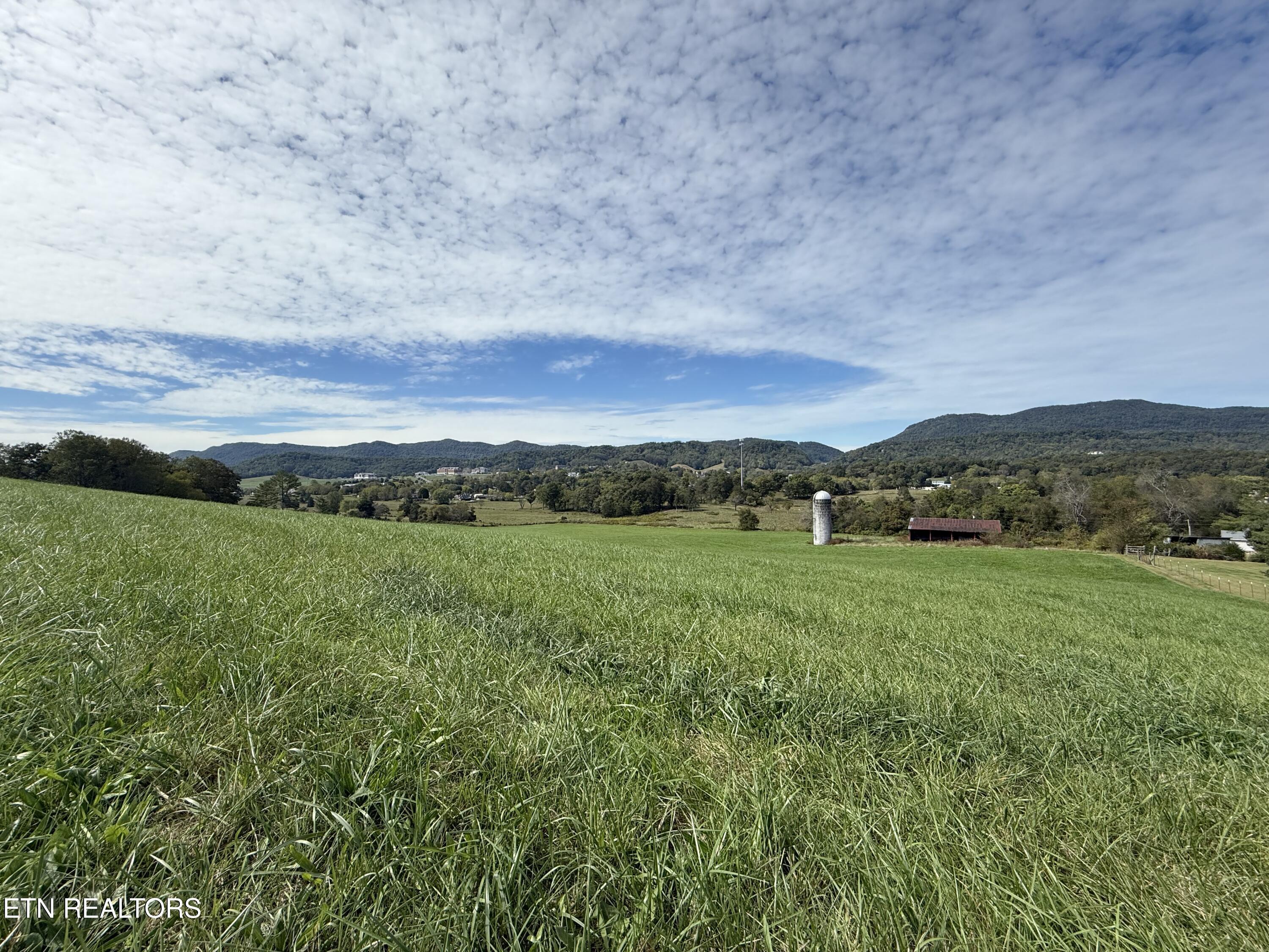 Image 3: IMG_1963