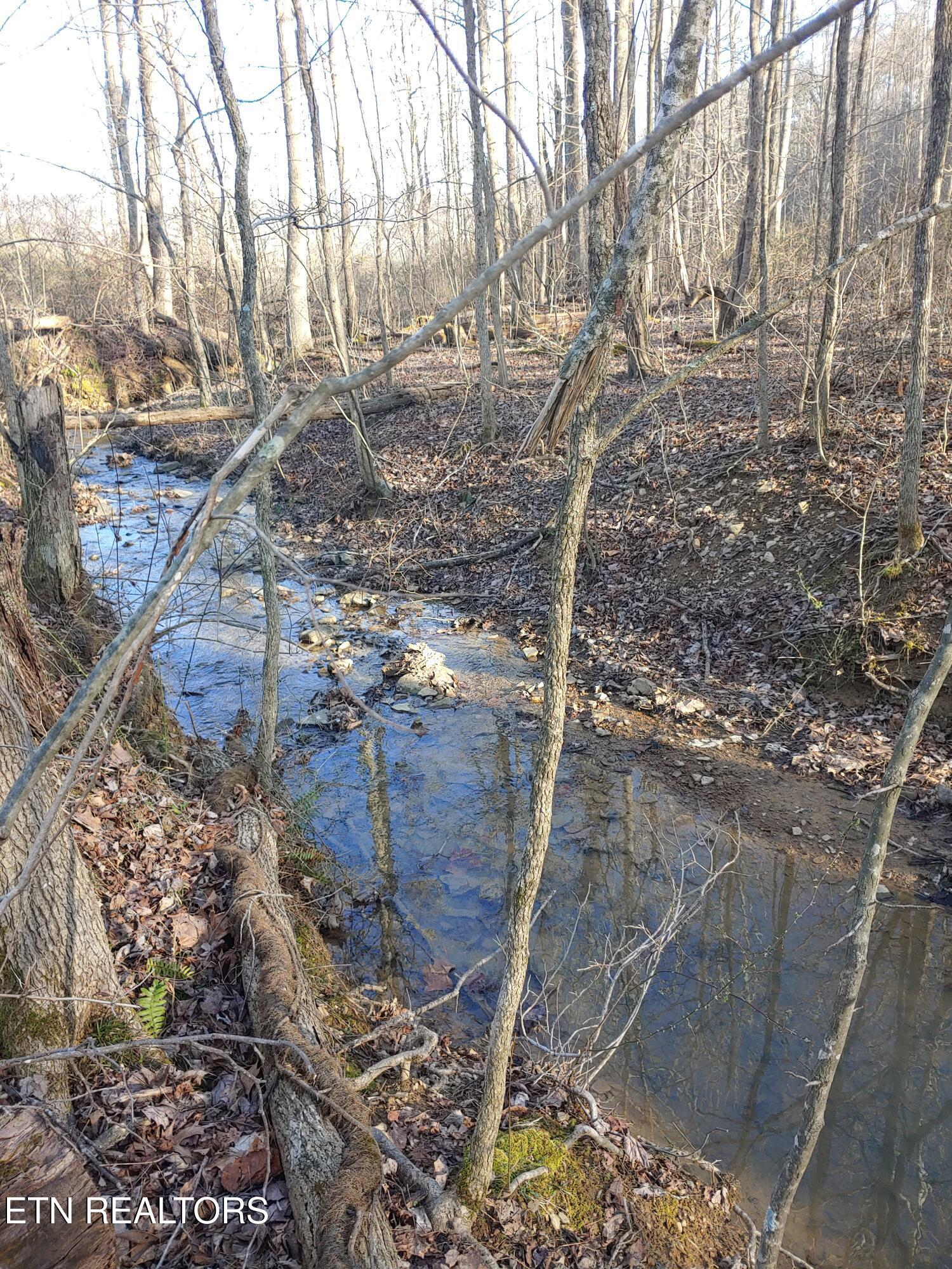 Image 1: Mill Creek Acreage