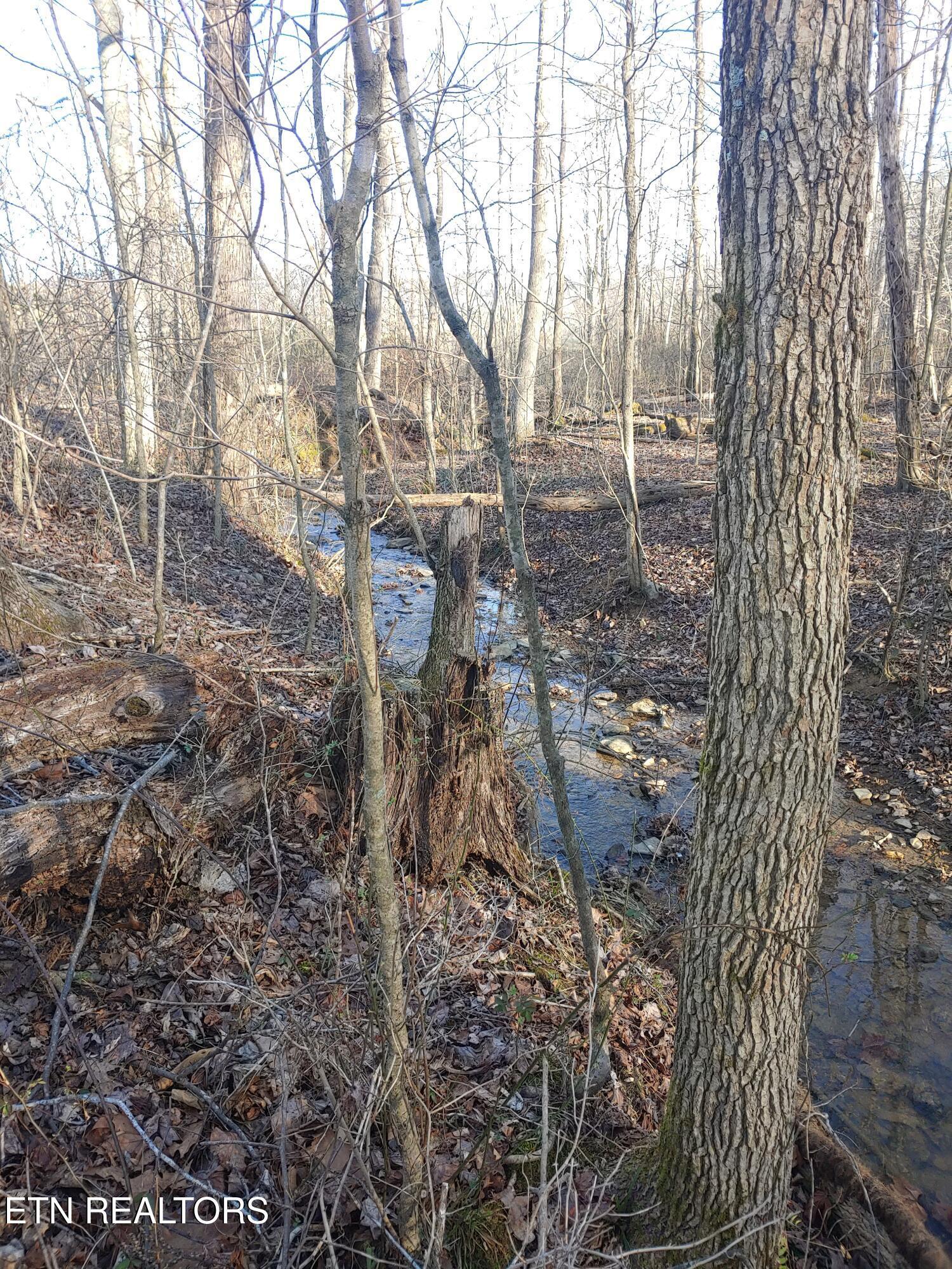 Image 2: View of Creek