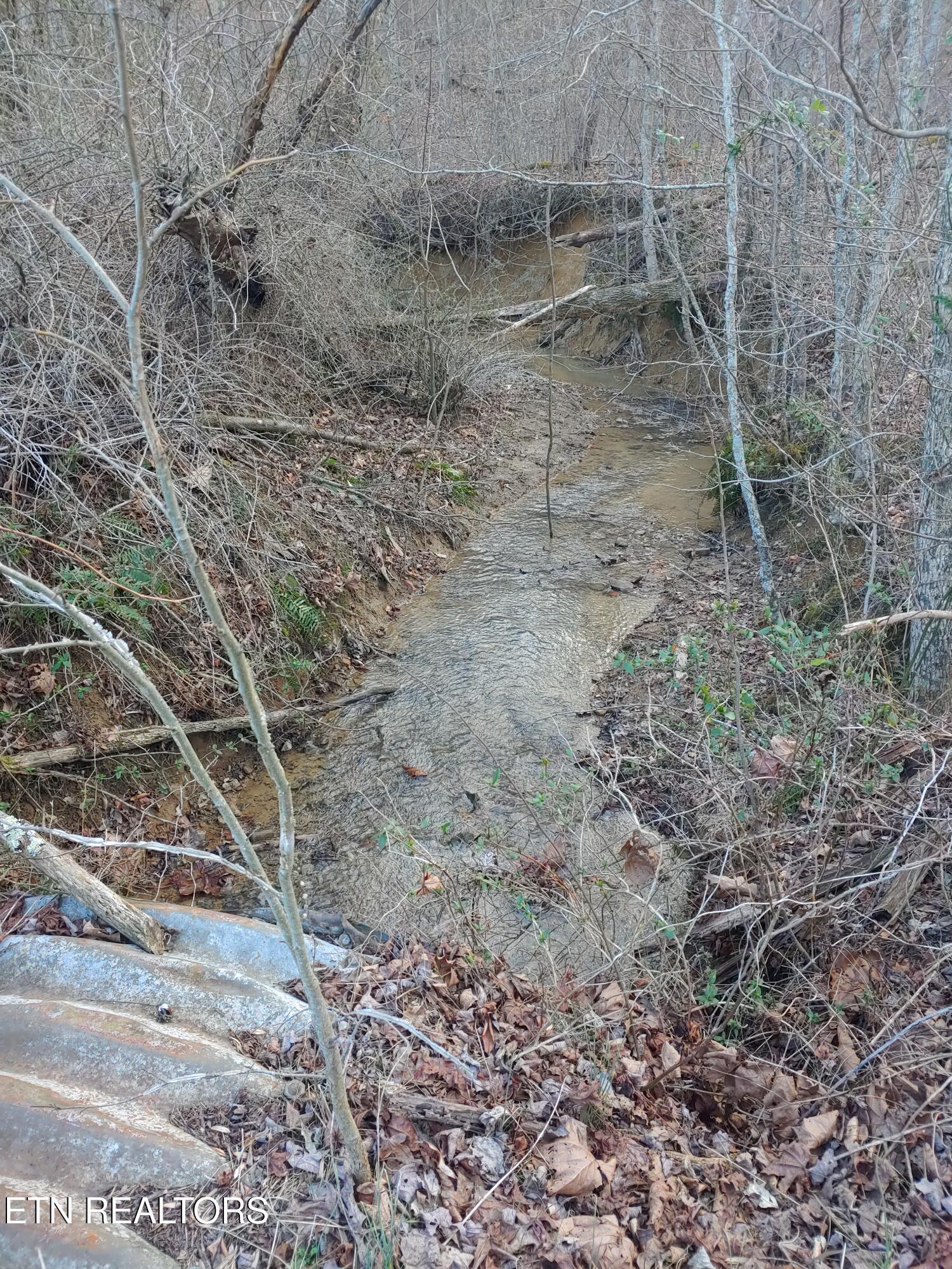 Image 3: Creek View 3