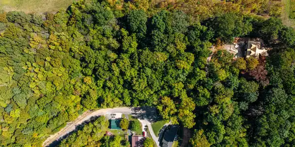 319 Muscadine Court