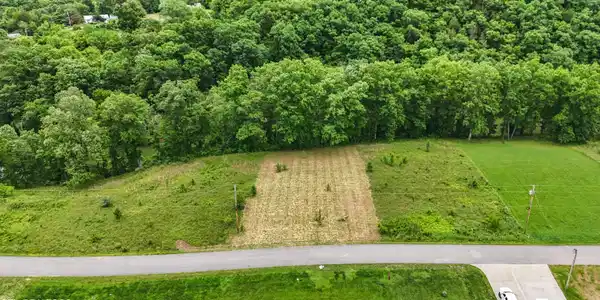Image 2: Cleared Lot