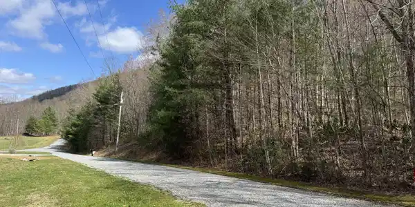 Cougar Trail 4.64