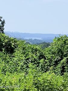 Ashe Cabin Hollow Rd