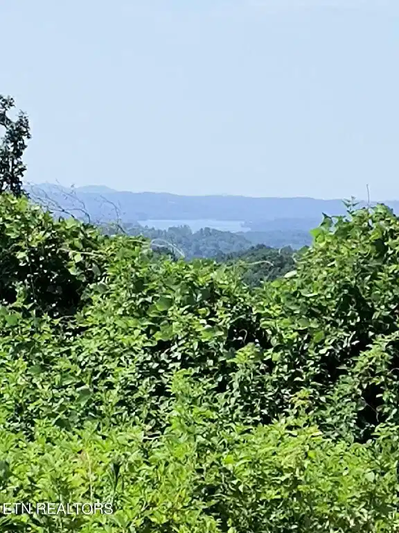 Image 1: image000000