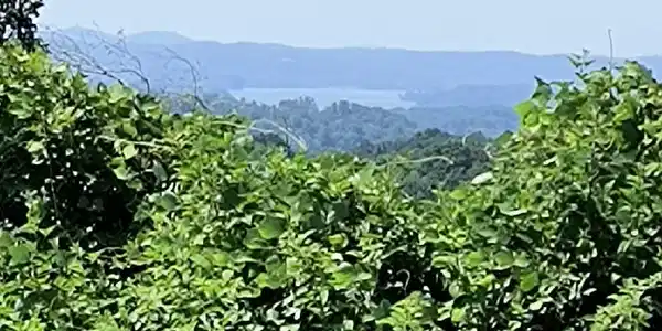 Ashe Cabin Hollow Rd