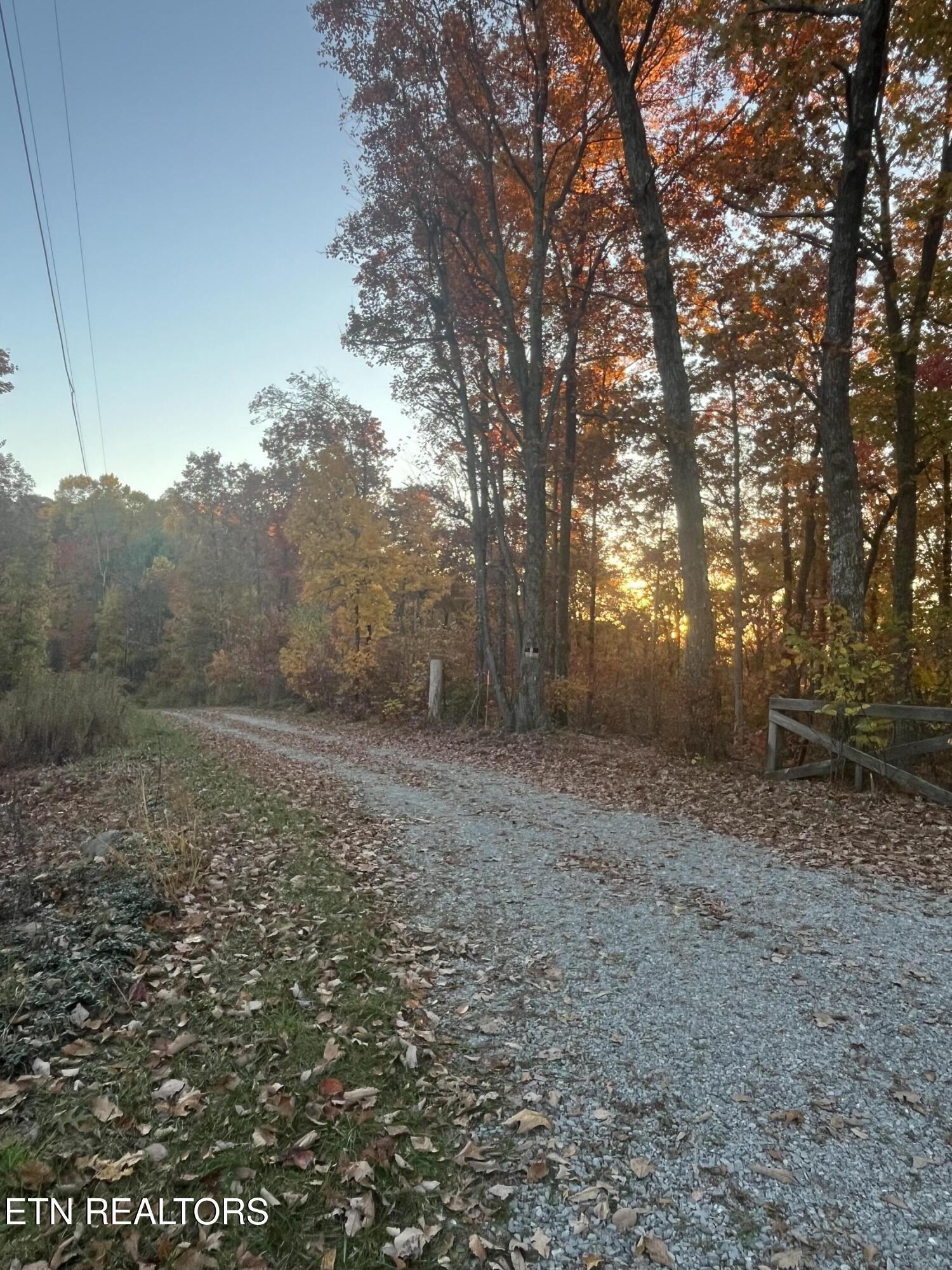Image 3: IMG_7705