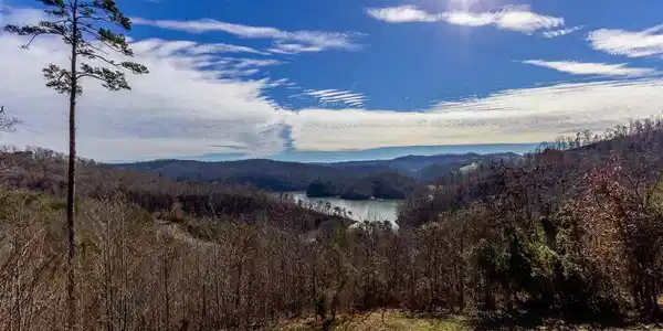 Image 4: Lot 717 Whistle Valley Rd - 3b