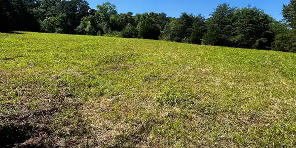 1060 County Road 130
