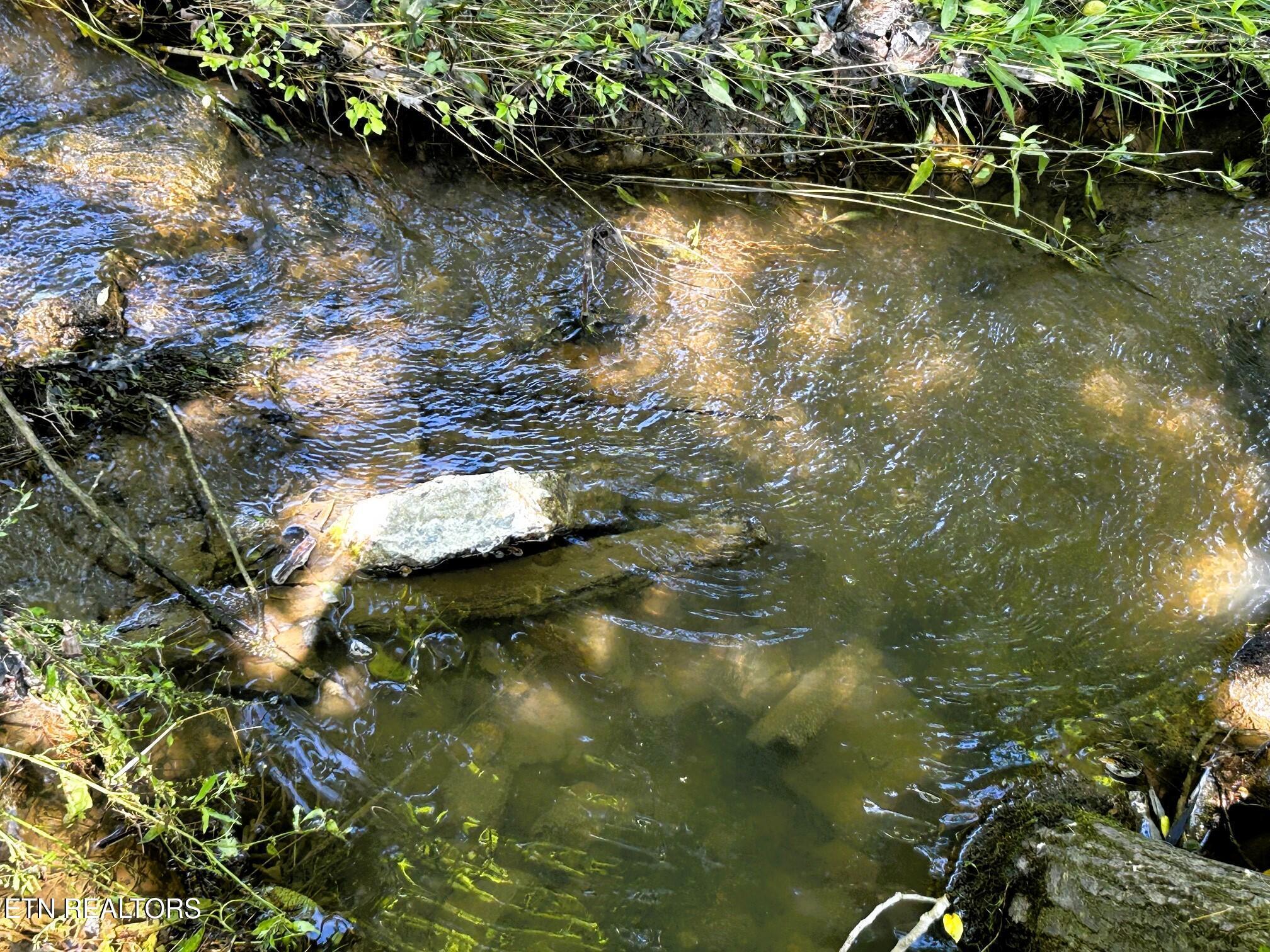 Image 2: 1060 CR main creek