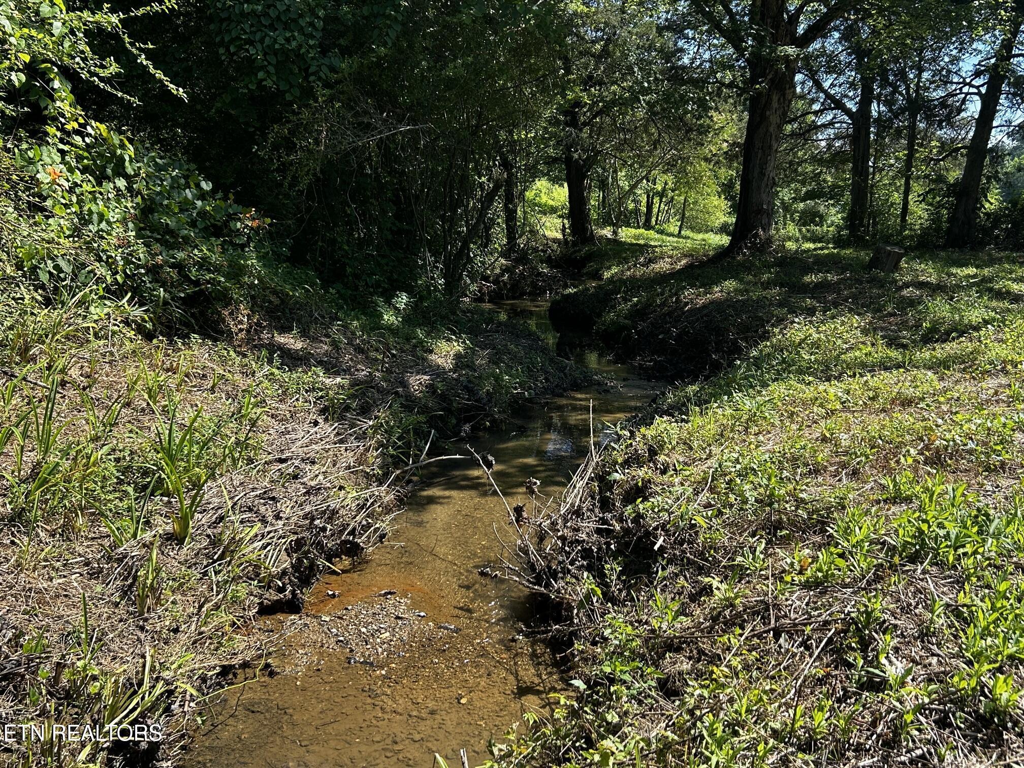 Image 3: 1060 CR creek 3
