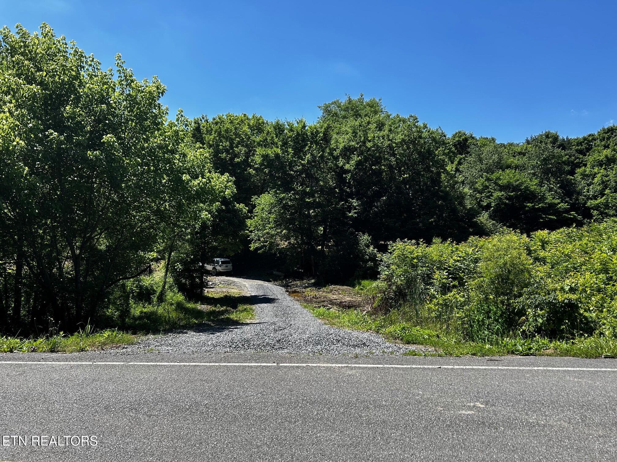 Image 4: 1060 CR 1 driveway 1