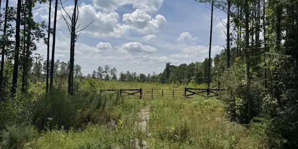 Lot #12 Burrville Rd